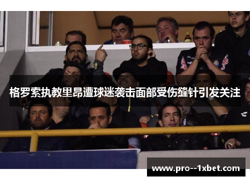 格罗索执教里昂遭球迷袭击面部受伤缝针引发关注