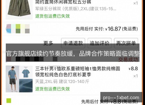 官方旗舰店续约节奏放缓,品牌合作策略面临调整 官方旗舰店续约节奏放缓,品牌合作策略面临调整